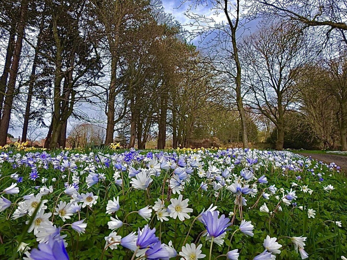 Thornton Manor - Holiday Cottages And Apartments Heswall Phòng bức ảnh